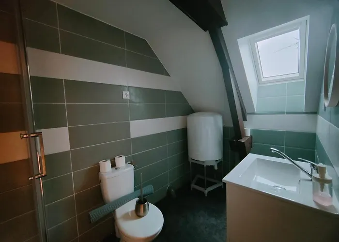 Les Lofts De Provins: 7 Apartment *
